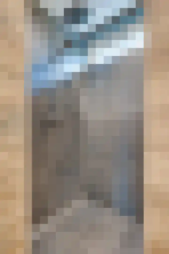 Planetenlaan 18 Son en Breugel thumbnail 20