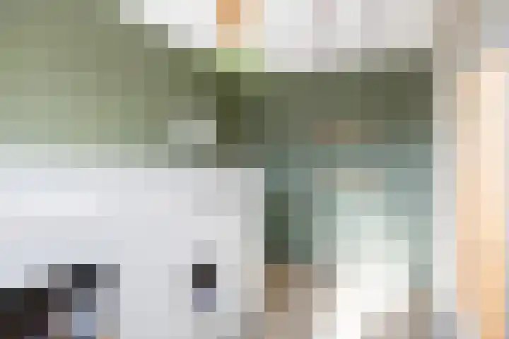 Planetenlaan 21 Assen thumbnail 37