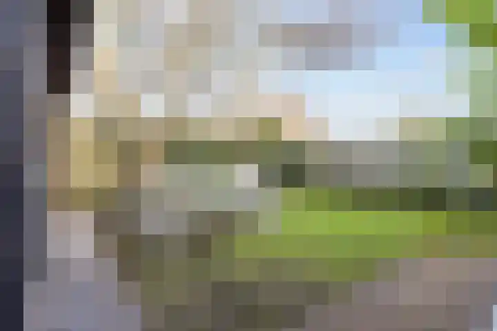 Planetenlaan 21 Assen thumbnail 50