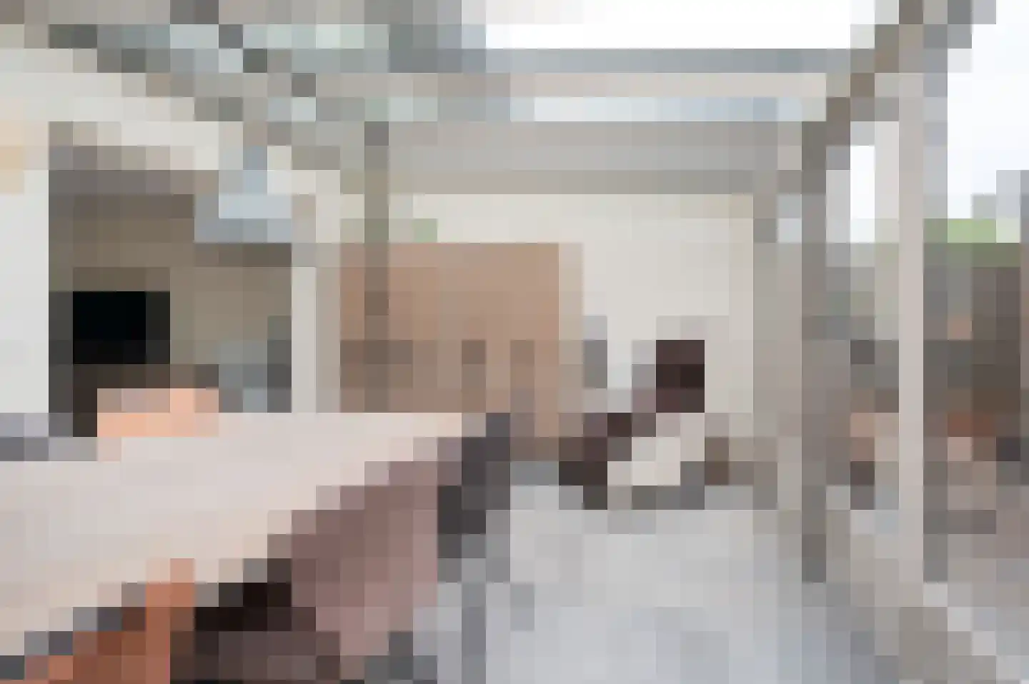 Planetenlaan 21 Schijndel thumbnail 8