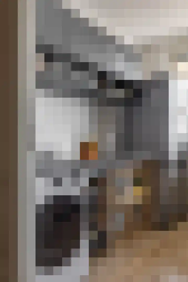 Planetenlaan 217 Groningen thumbnail 17
