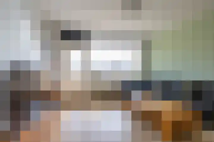 Planetenlaan 217 Groningen thumbnail 9
