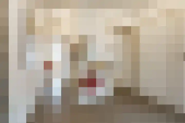 Planetenlaan 22 Herveld thumbnail 27