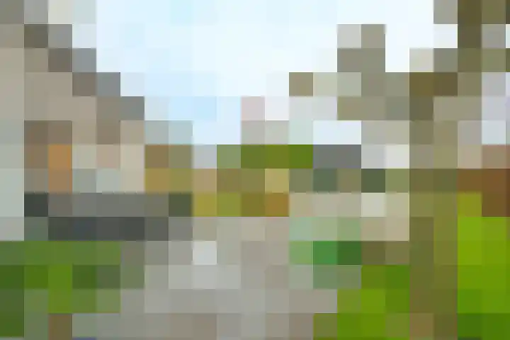 Planetenlaan 22 Herveld thumbnail 42