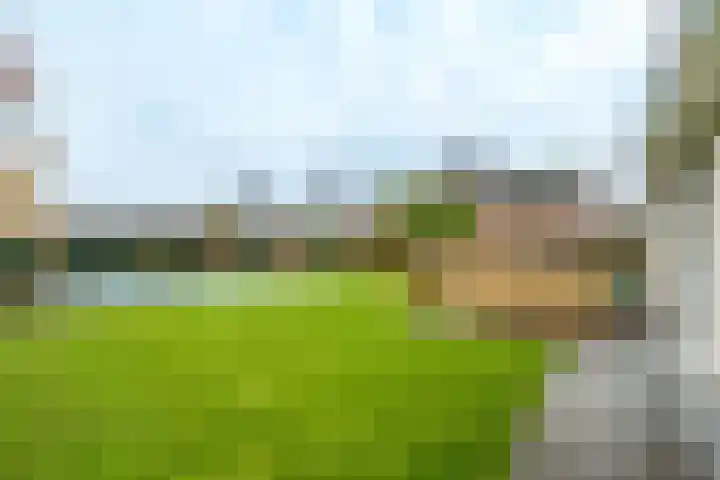 Planetenlaan 22 Herveld thumbnail 52