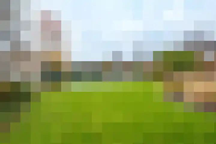 Planetenlaan 22 Herveld thumbnail 53