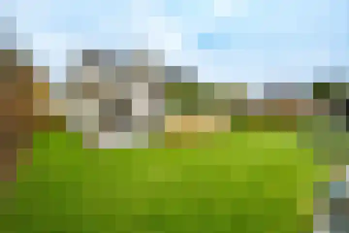 Planetenlaan 22 Herveld thumbnail 54