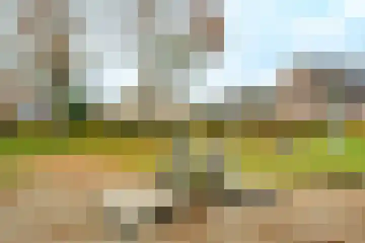 Planetenlaan 22 Herveld thumbnail 57