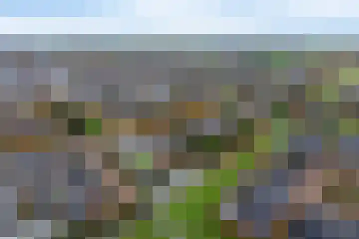 Planetenlaan 22 Herveld thumbnail 59