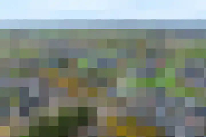 Planetenlaan 22 Herveld thumbnail 63