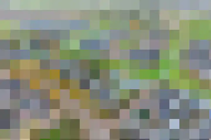 Planetenlaan 22 Herveld thumbnail 64