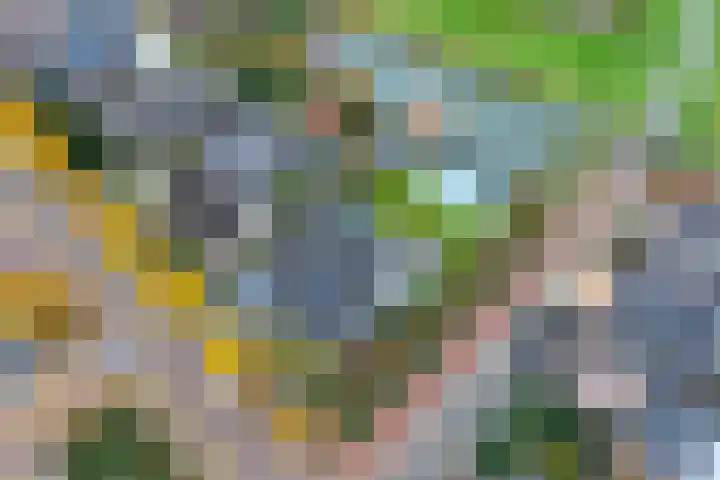 Planetenlaan 22 Herveld thumbnail 65