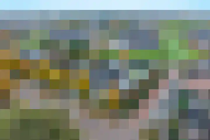 Planetenlaan 22 Herveld thumbnail 66