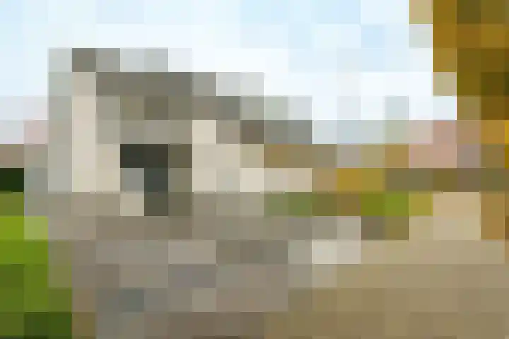 Planetenlaan 22 Herveld thumbnail 9