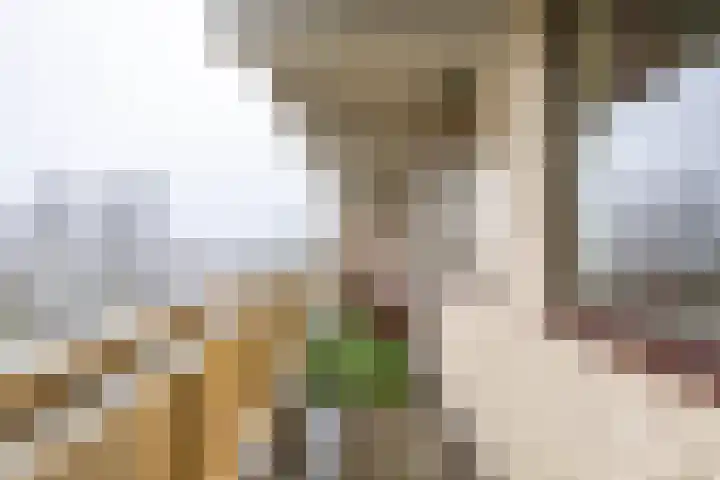 Planetenlaan 223 Groningen thumbnail 15
