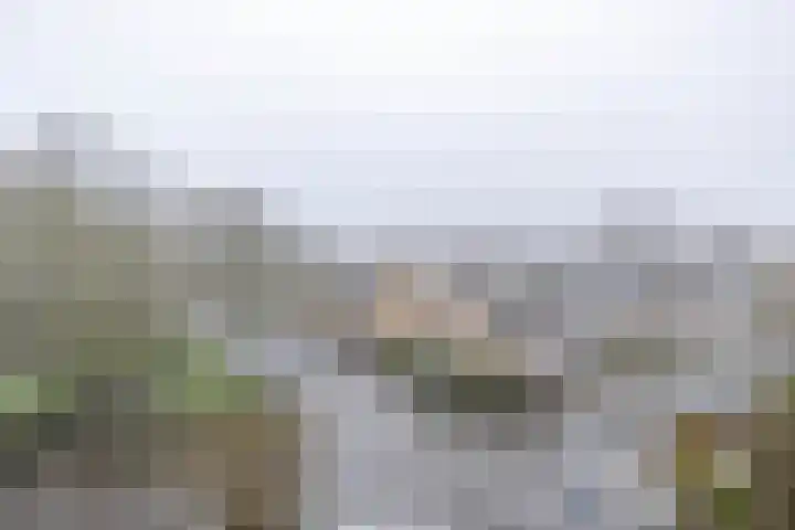 Planetenlaan 223 Groningen thumbnail 16
