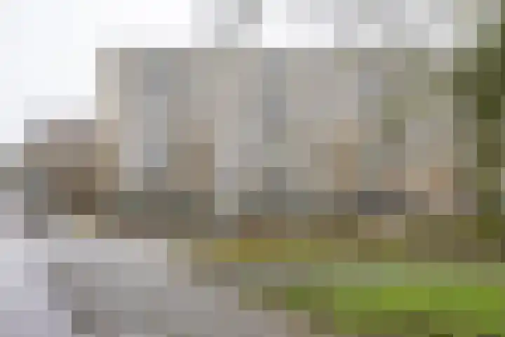 Planetenlaan 223 Groningen thumbnail 28