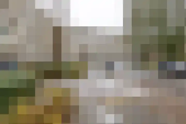 Planetenlaan 223 Groningen thumbnail 29