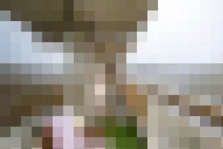 Planetenlaan 223 Groningen thumbnail 4