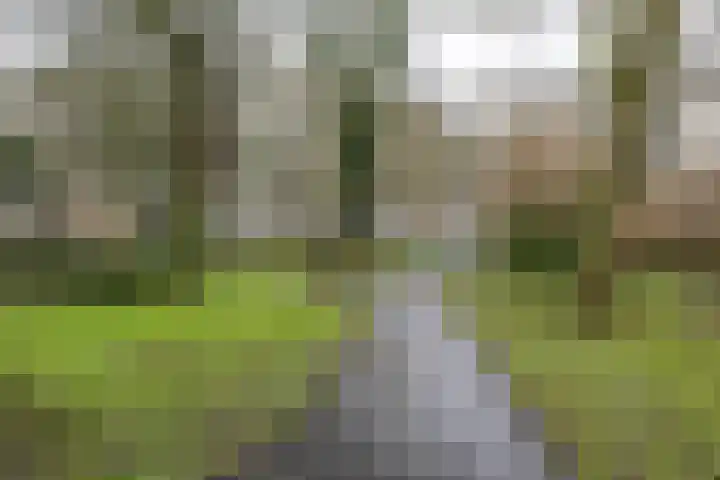 Planetenlaan 223 Groningen thumbnail 5