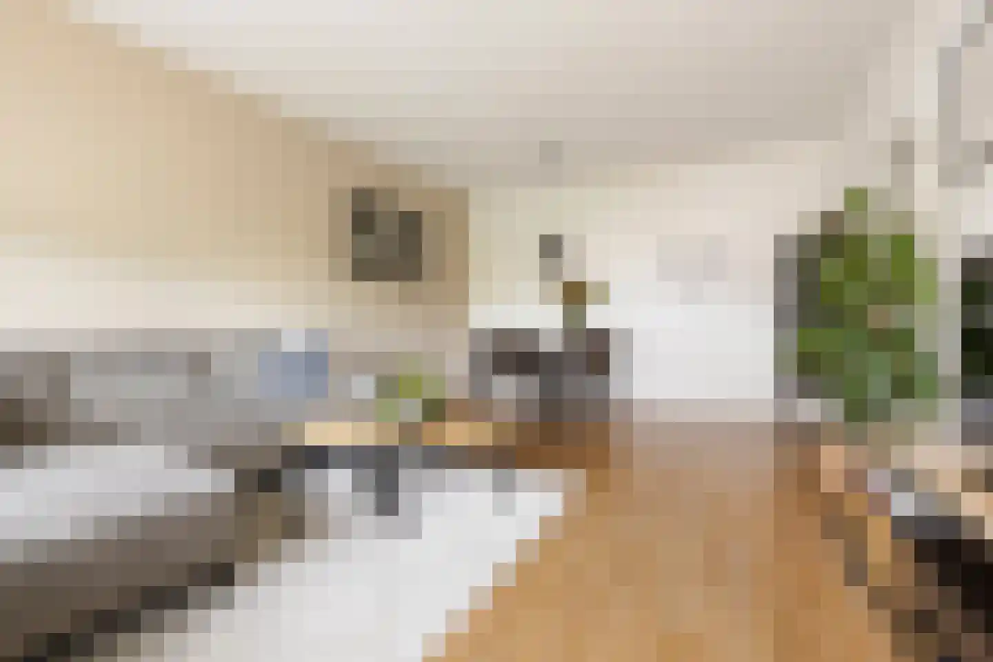 Planetenlaan 229 Groningen thumbnail 19