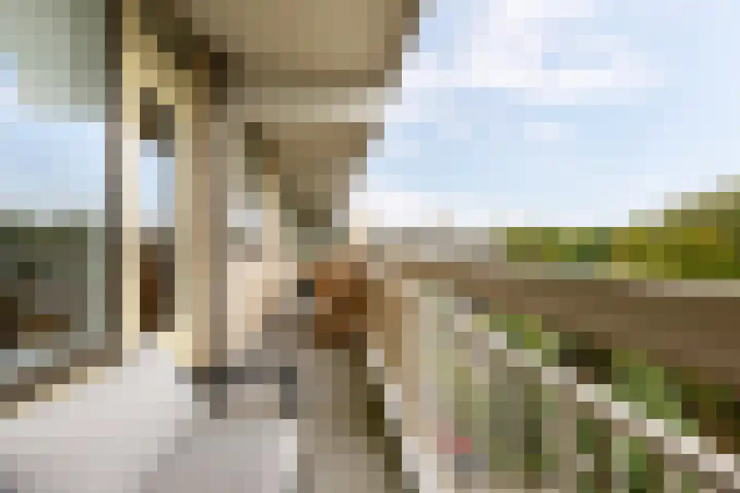 Planetenlaan 229 Groningen thumbnail 32