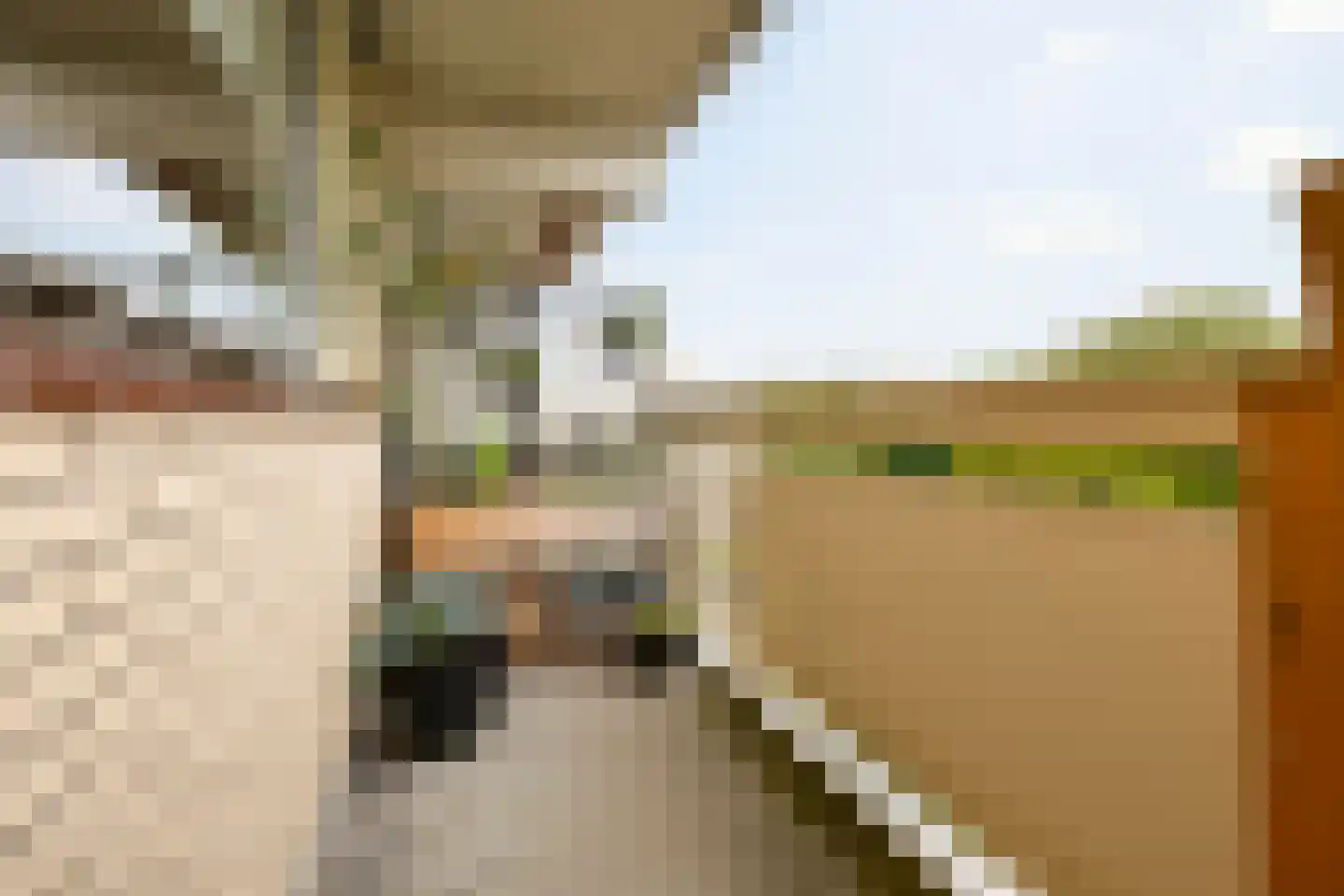 Planetenlaan 229 Groningen thumbnail 34
