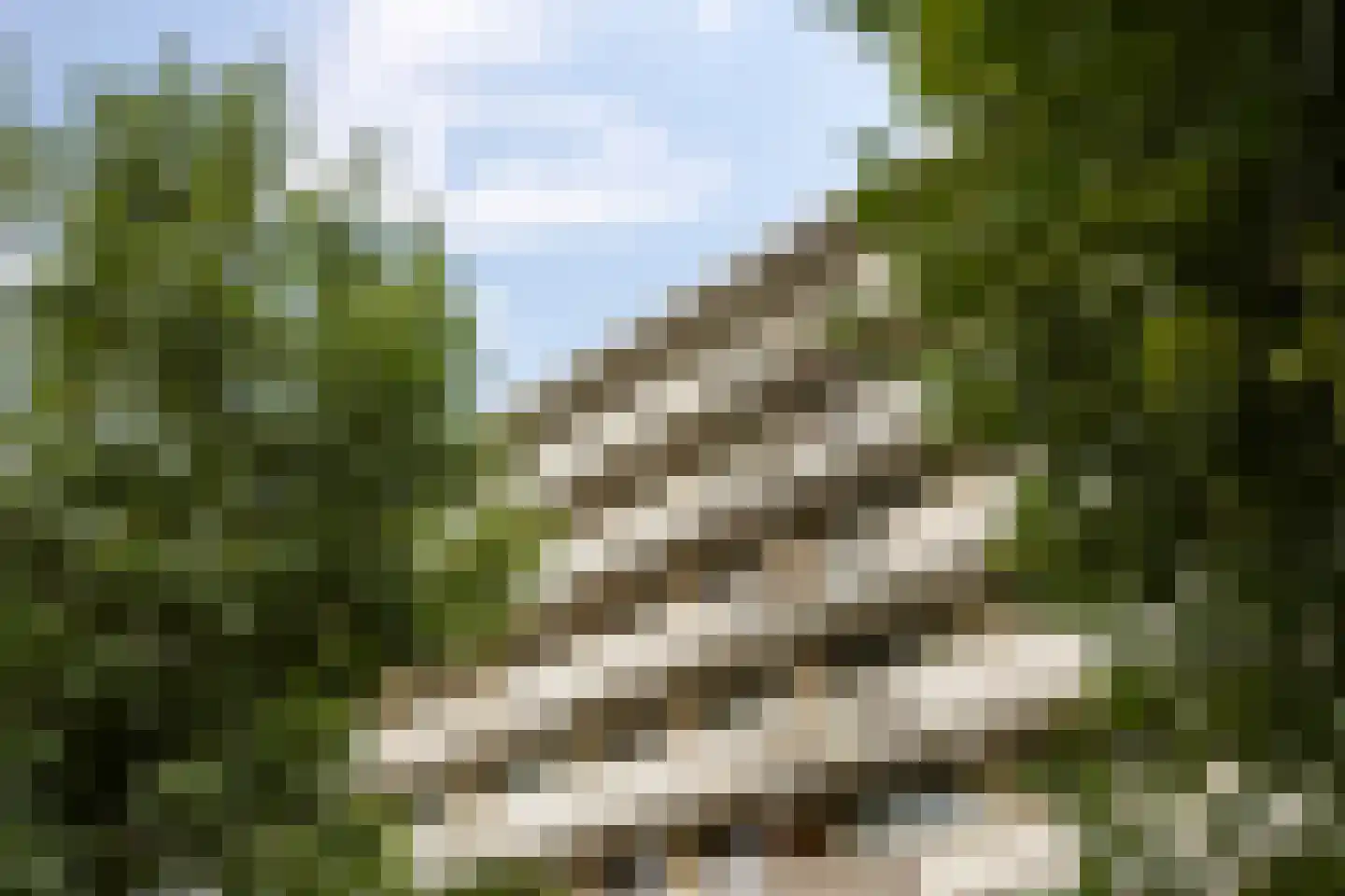 Planetenlaan 229 Groningen thumbnail 37
