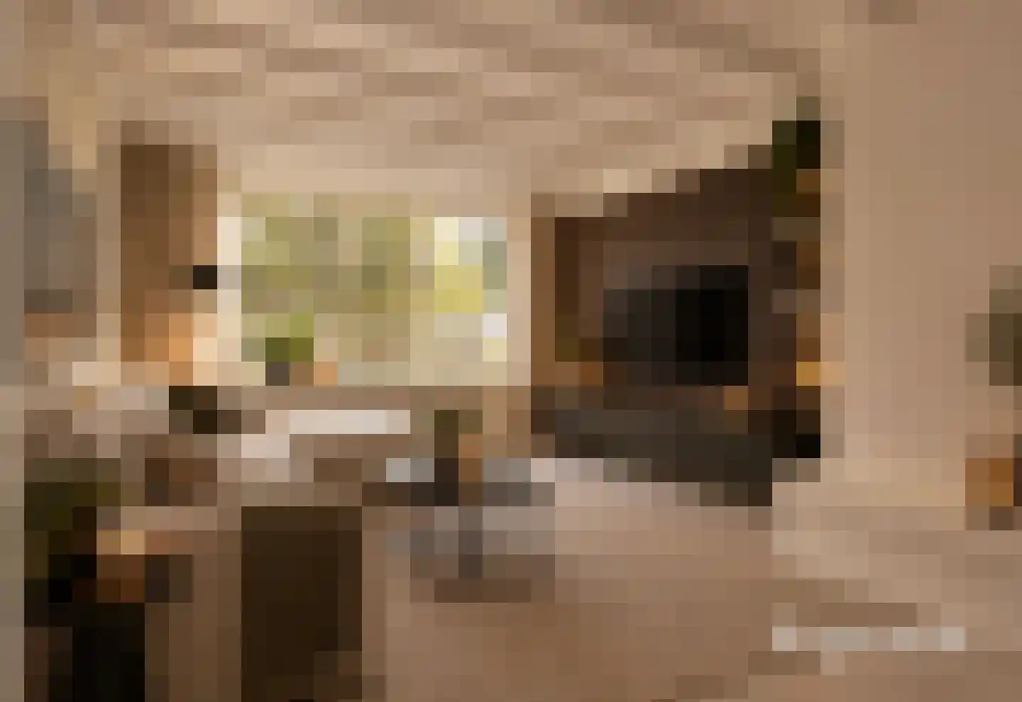 Planetenlaan 23 Heerhugowaard thumbnail 6