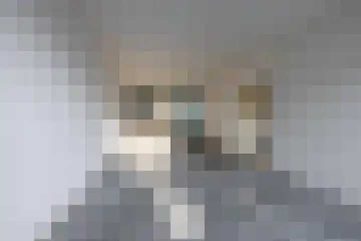Planetenlaan 242 Groningen thumbnail 11