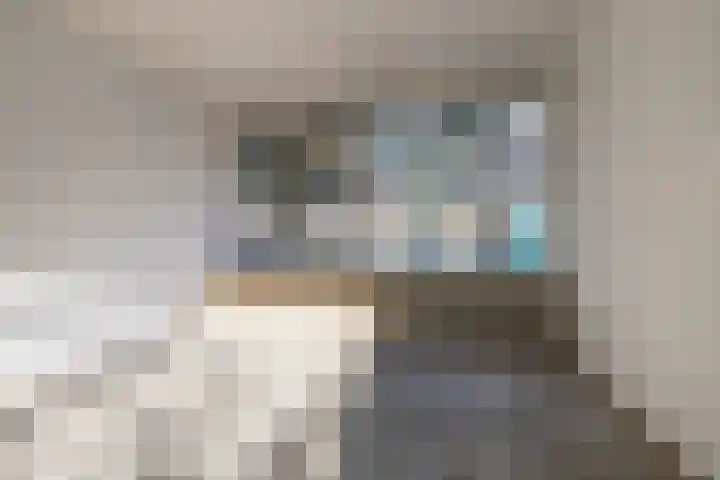 Planetenlaan 242 Groningen thumbnail 12