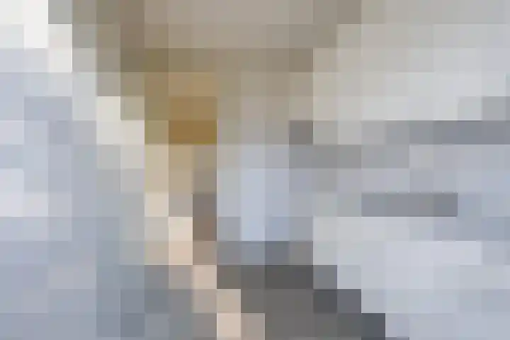 Planetenlaan 242 Groningen thumbnail 16