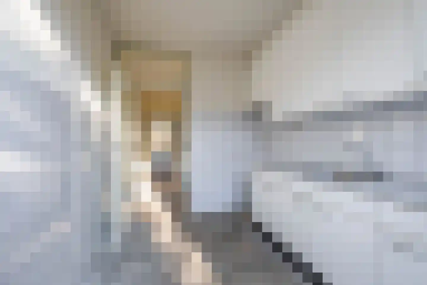 Planetenlaan 242 Groningen thumbnail 16