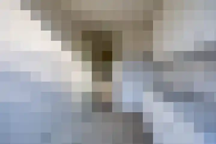 Planetenlaan 242 Groningen thumbnail 17