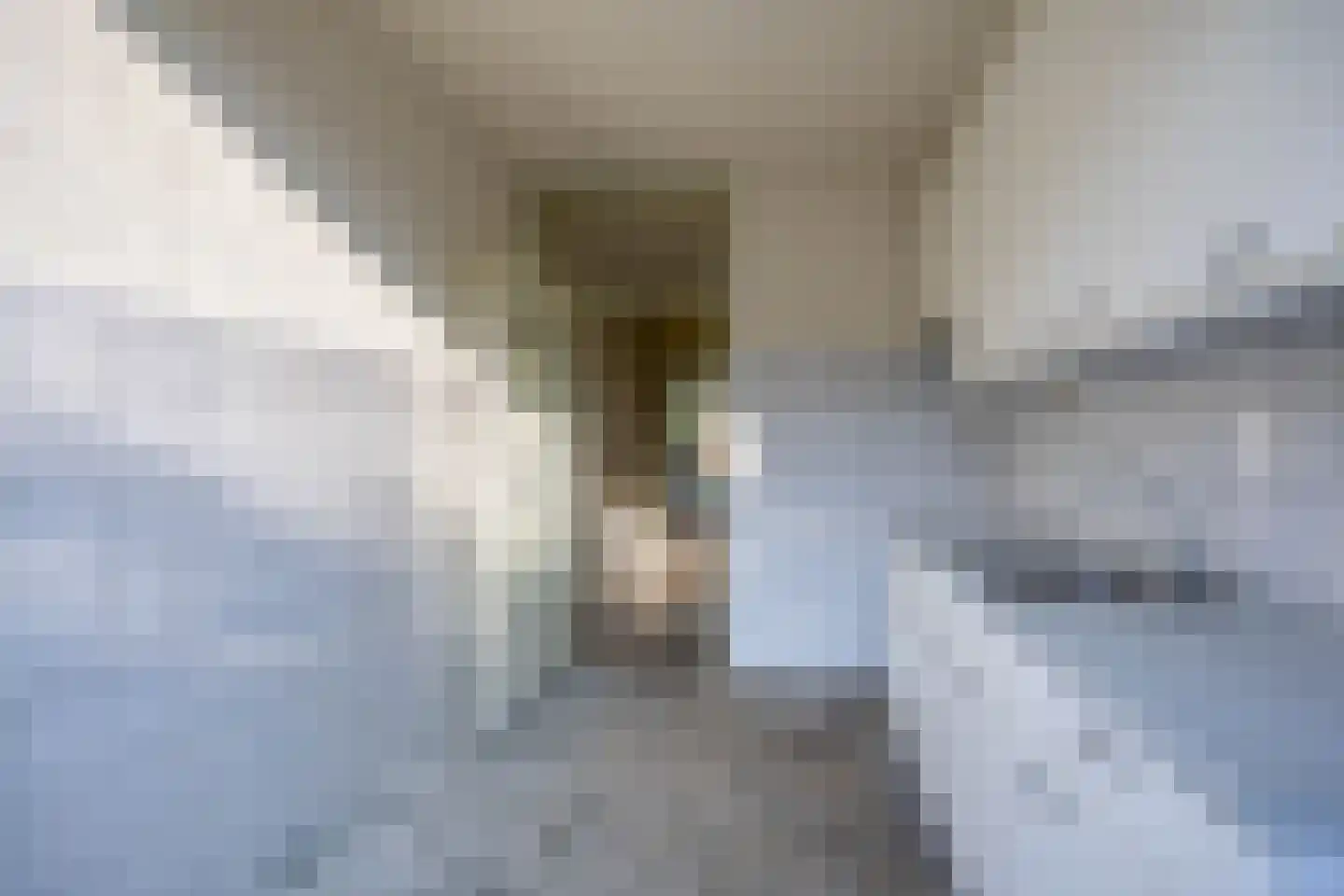 Planetenlaan 242 Groningen thumbnail 17