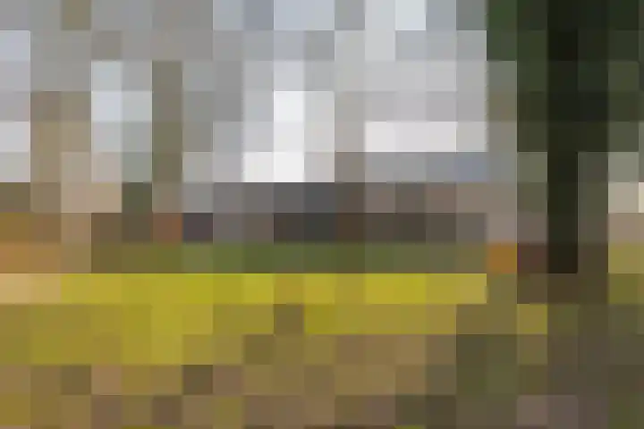 Planetenlaan 242 Groningen thumbnail 41