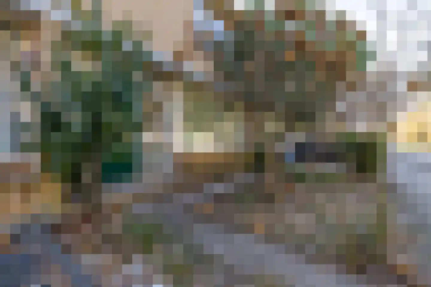 Planetenlaan 242 Groningen thumbnail 5