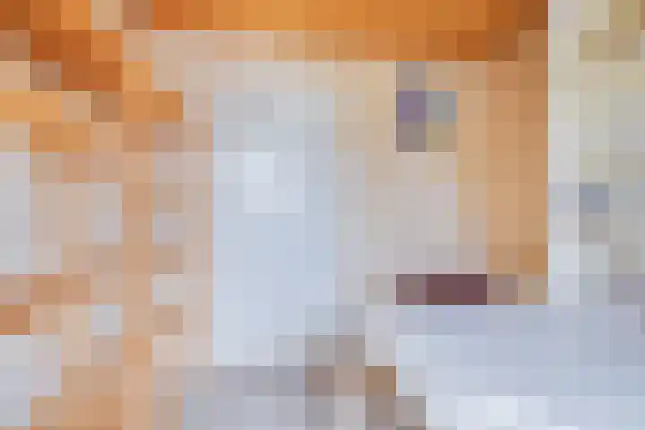 Planetenlaan 25 Apeldoorn thumbnail 15