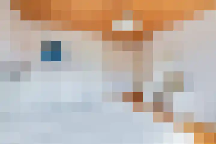 Planetenlaan 25 Apeldoorn thumbnail 17