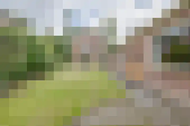 Planetenlaan 25 Apeldoorn thumbnail 24