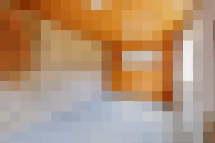 Planetenlaan 25 Apeldoorn thumbnail 30