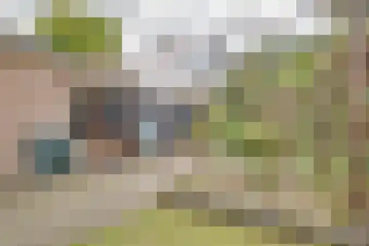 Planetenlaan 25 Apeldoorn thumbnail 32