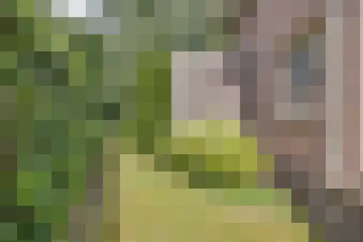 Planetenlaan 25 Apeldoorn thumbnail 35