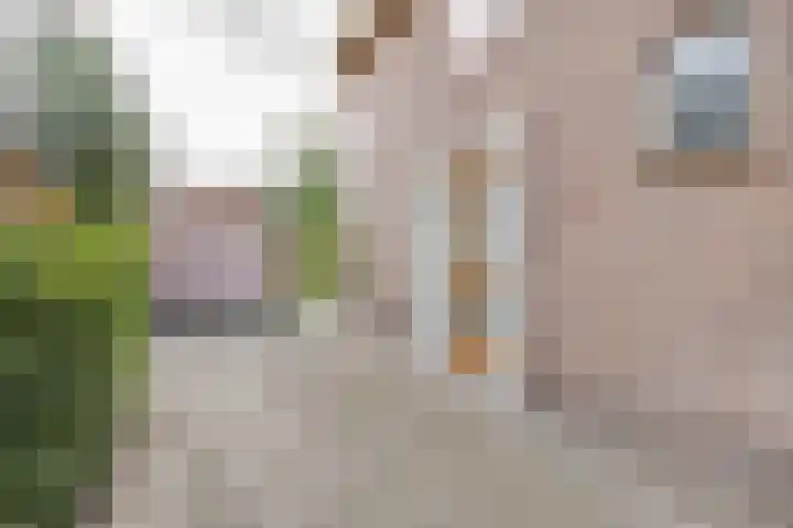 Planetenlaan 25 Apeldoorn thumbnail 36