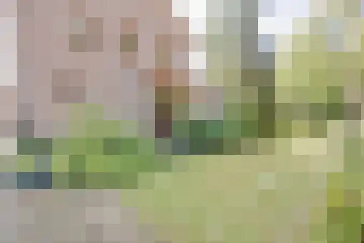 Planetenlaan 25 Apeldoorn thumbnail 37