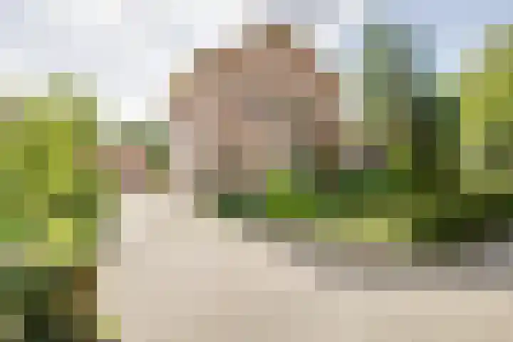 Planetenlaan 25 Apeldoorn thumbnail 38