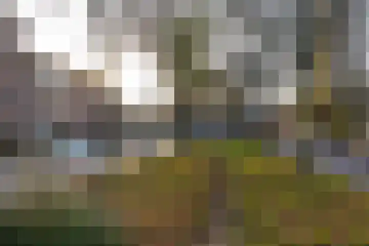 Planetenlaan 26 II Haarlem thumbnail 27