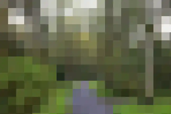 Planetenlaan 26 II Haarlem thumbnail 29