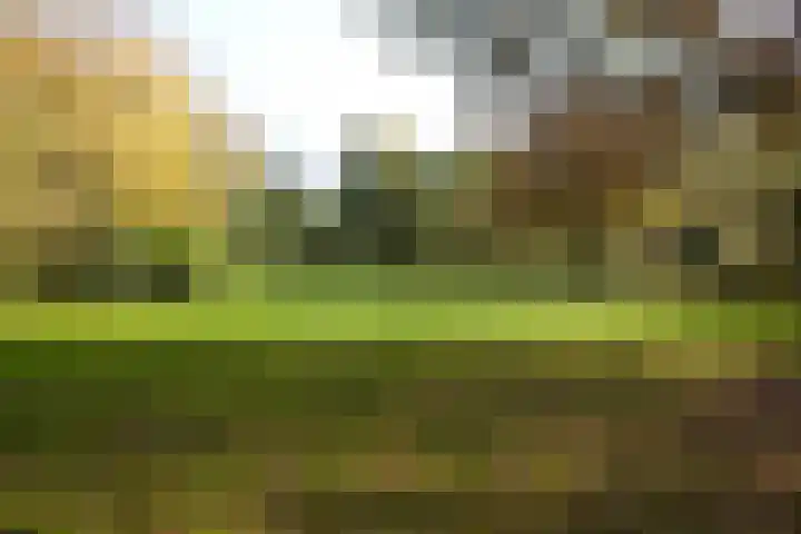 Planetenlaan 26 II Haarlem thumbnail 30