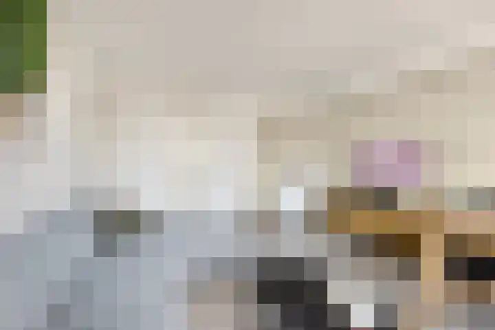 Planetenlaan 26 II Haarlem thumbnail 5